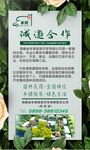海南车驿 房车营地 史光东  