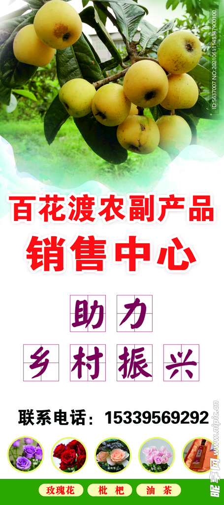 枇杷展架