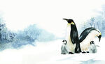 卡通南极边缘企鹅妈妈和企鹅宝宝