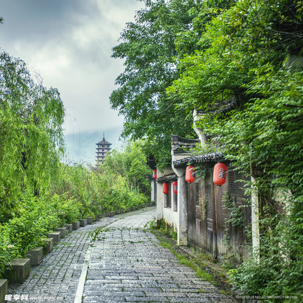 横店景区  老广州街 绿荫小道