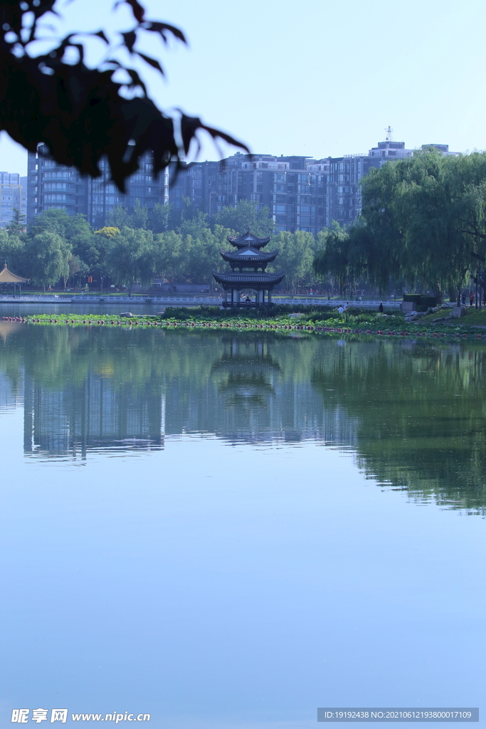 园林风景