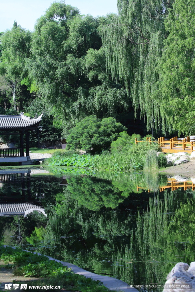 园林风景 