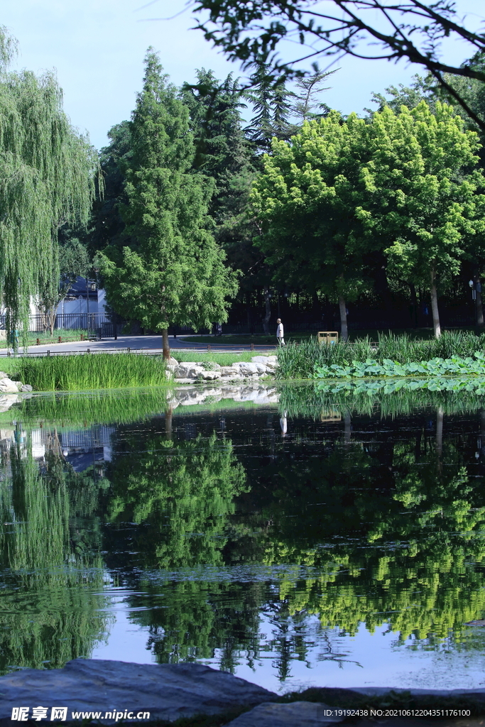园林风景