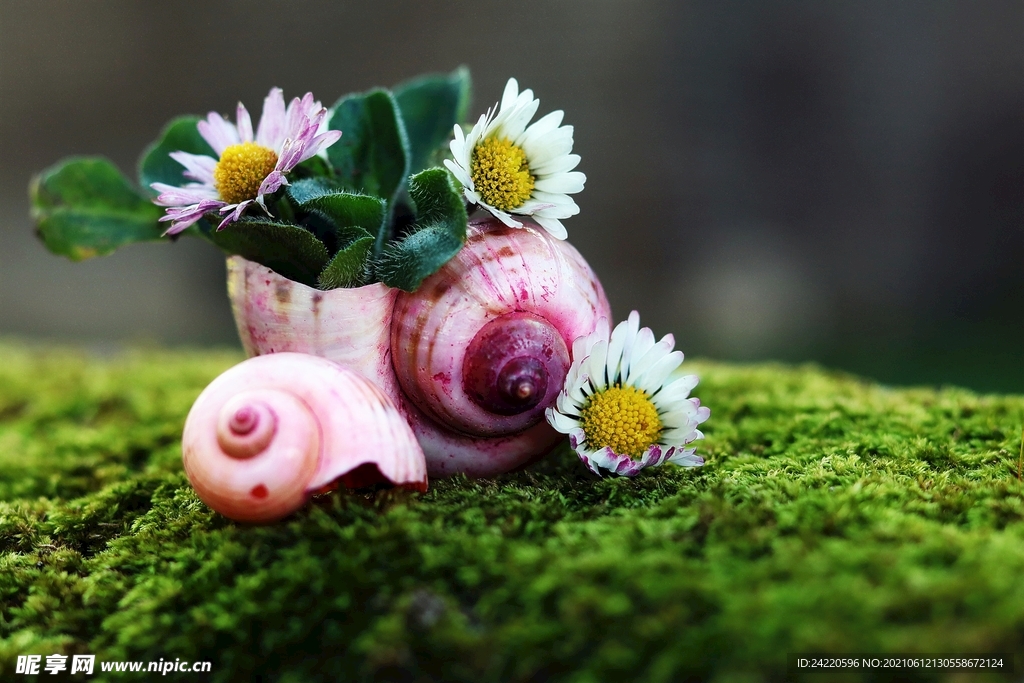 鲜花