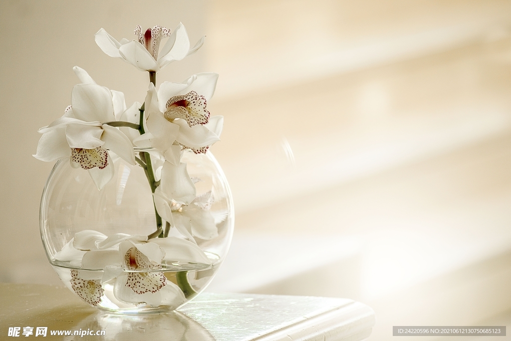 水仙花