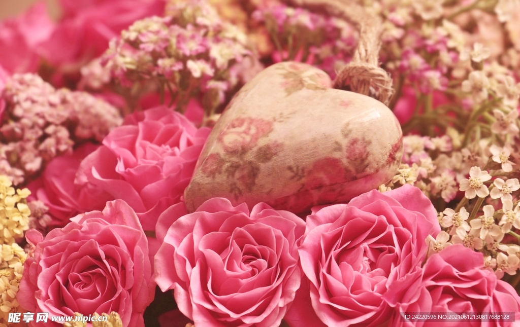 玫瑰花