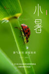 小暑