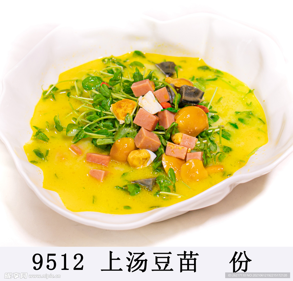 上汤豆苗