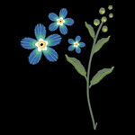 小花