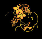 花纹