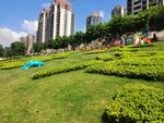 夏日江边