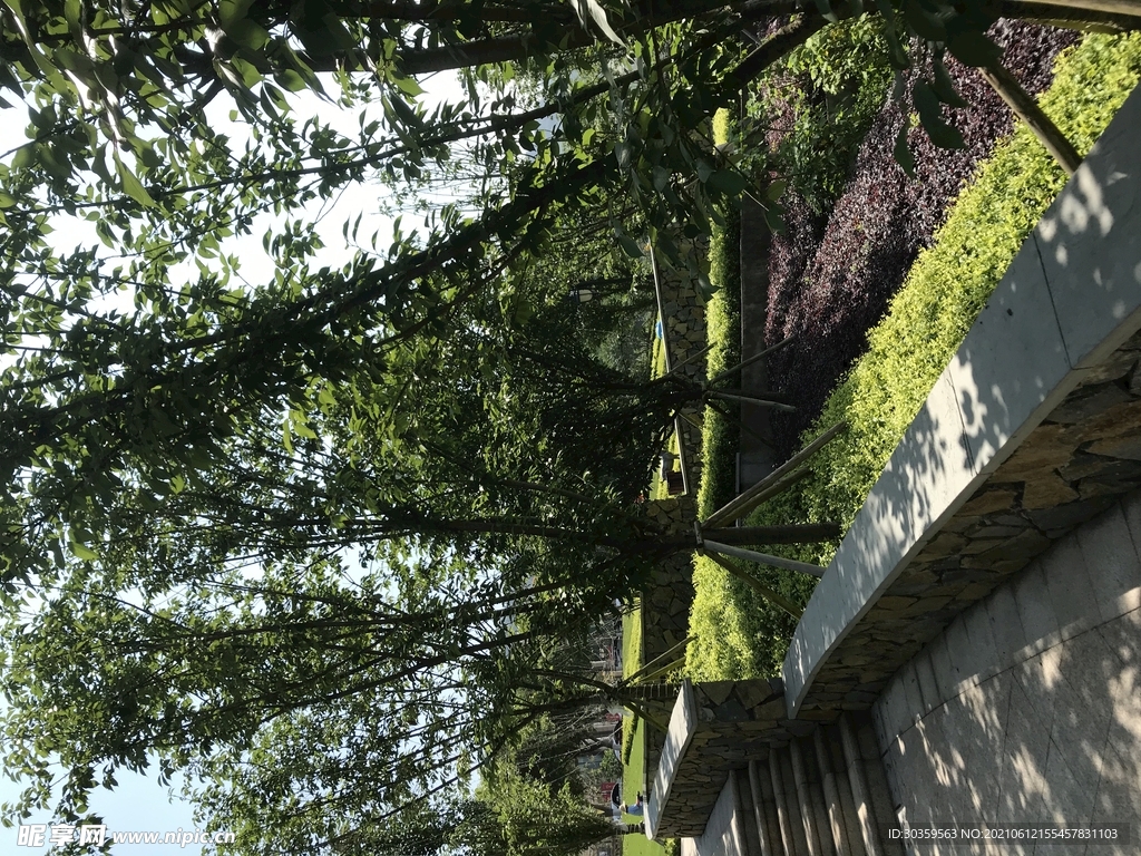 绿色植被