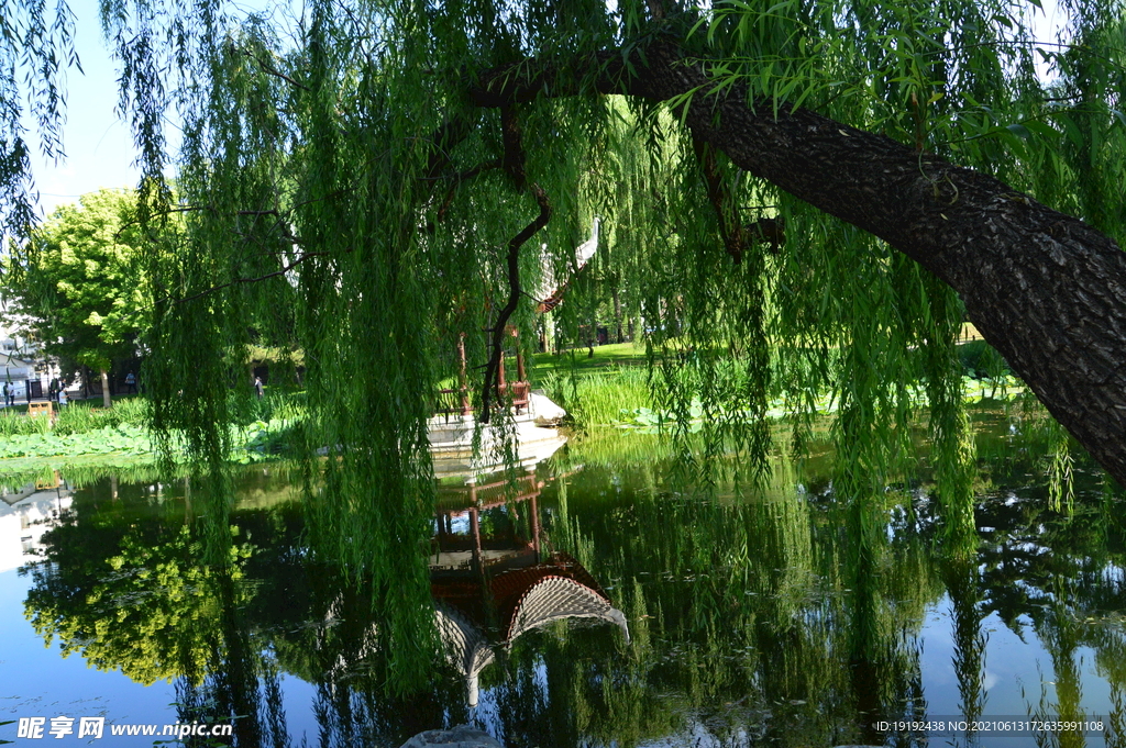 凉亭风景 