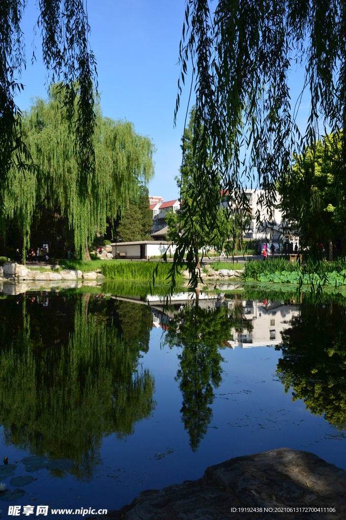 园林风景