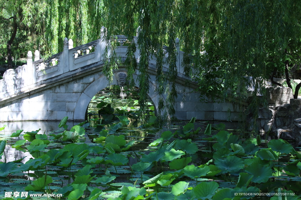 大观园风景