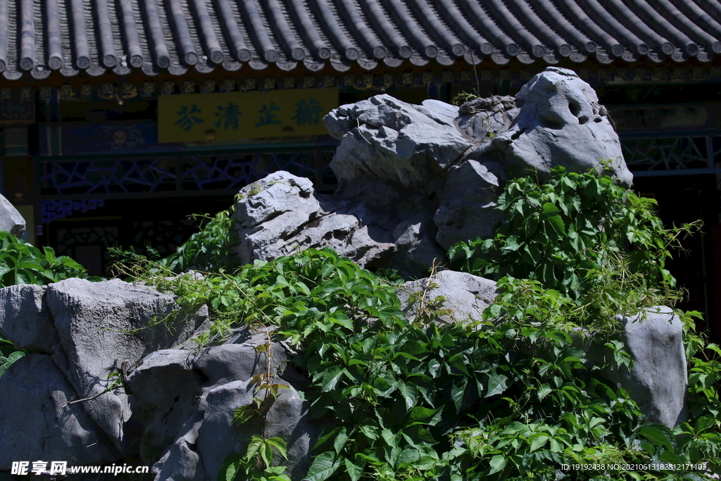 园林风景