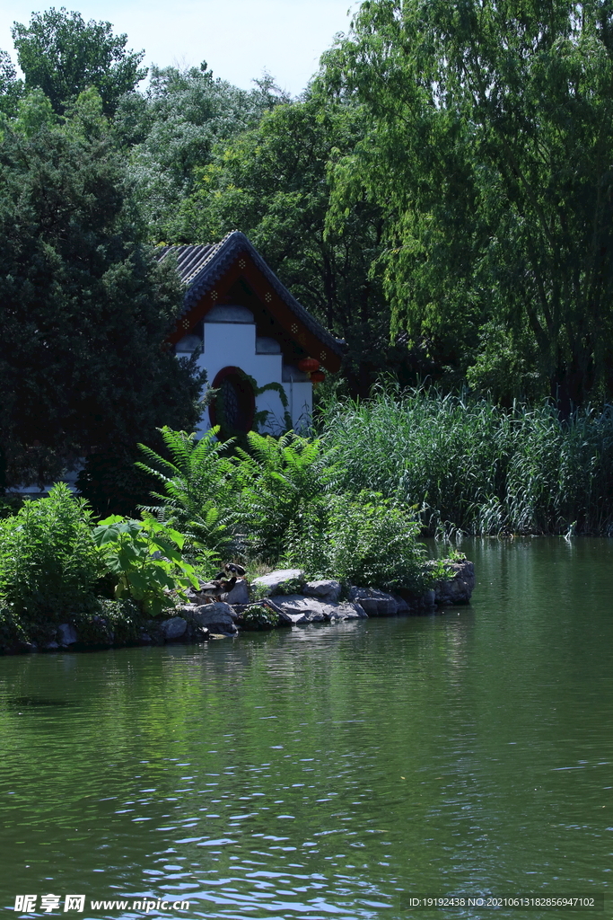 大观园风景 