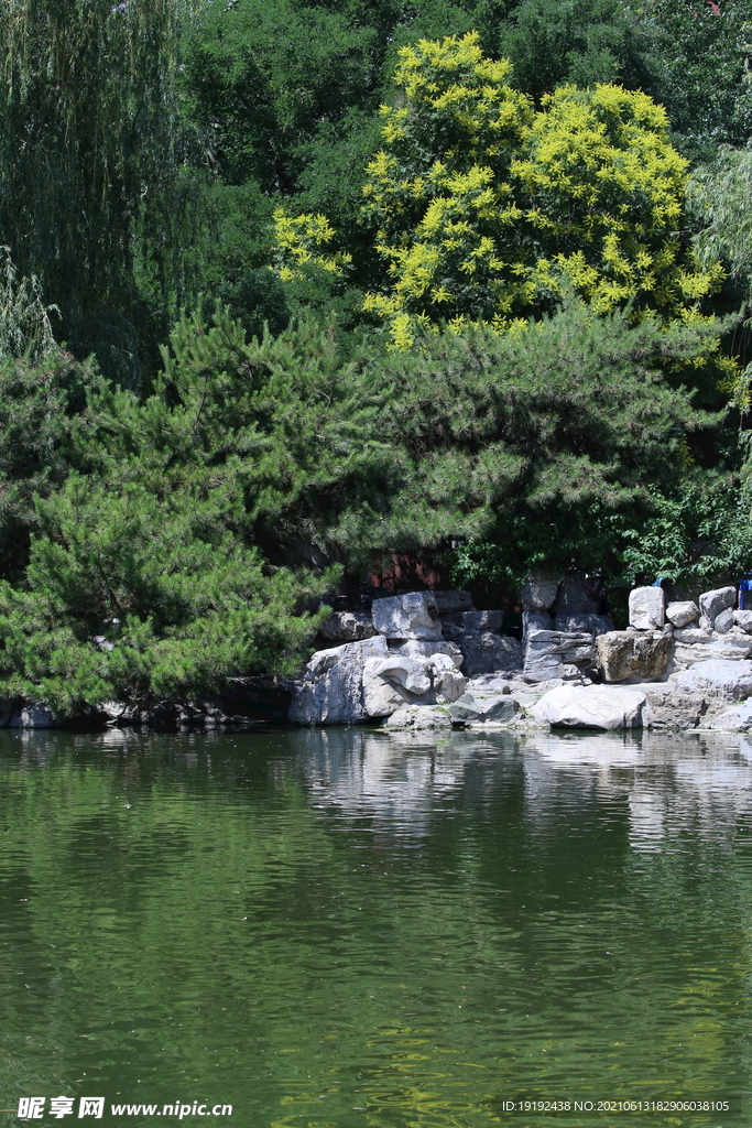 园林风景 