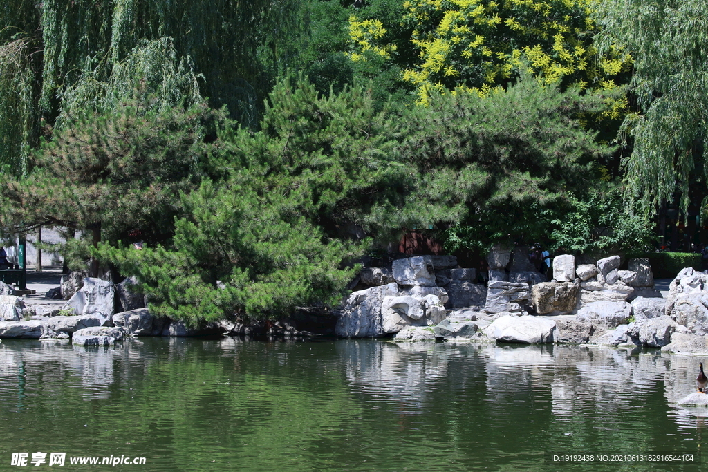 大观园风景 