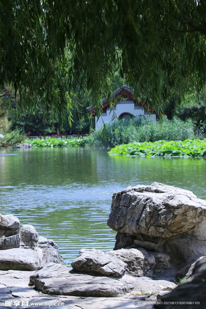 园林风景 