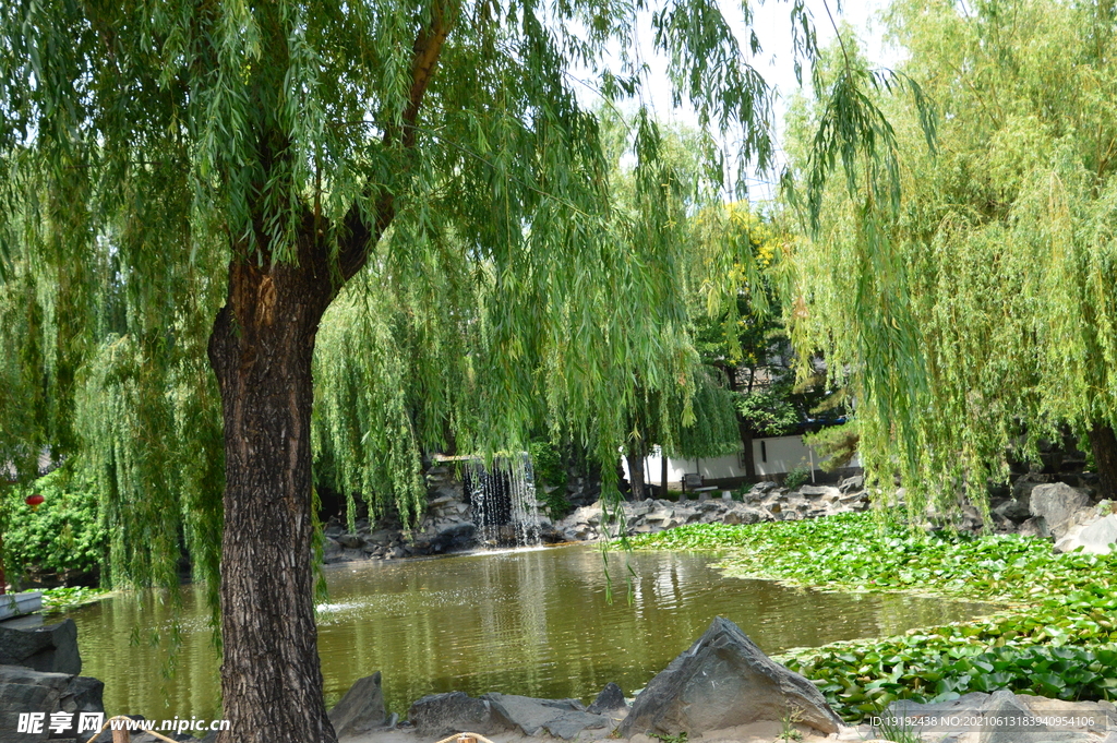 大观园风景 