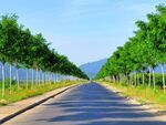 蓝天下的乡村道路风景