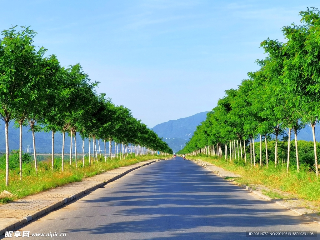 蓝天下的乡村道路风景