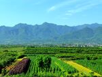 壮丽的大山美景