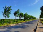 美丽的乡村道路风景