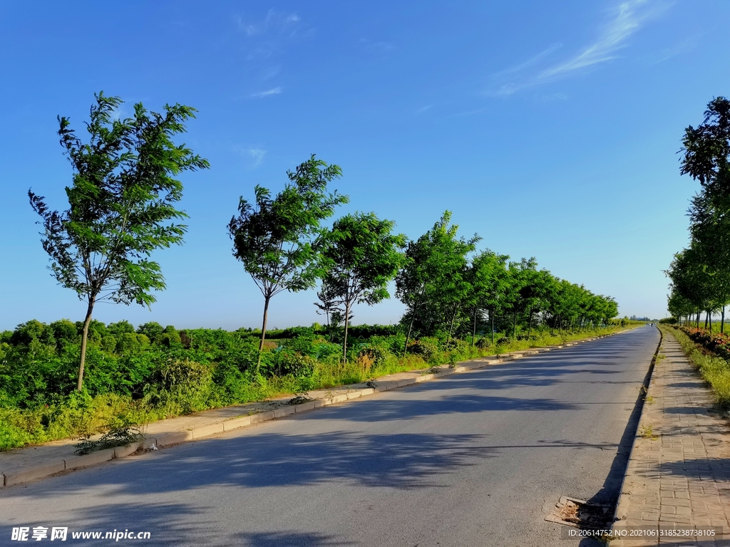 美丽的乡村道路风景