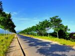 空荡荡的乡村道路风景