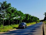 美丽的乡村道路风景