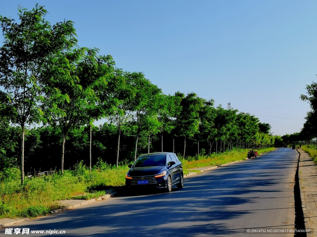 美丽的乡村道路风景