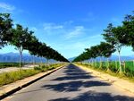 蓝天下的乡村道路风景