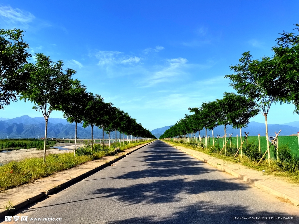 蓝天下的乡村道路风景