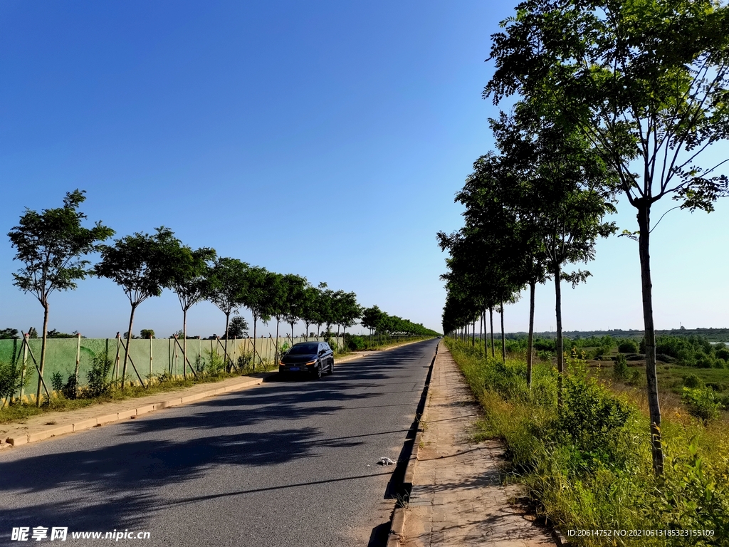 美丽的乡村道路风景