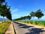 蓝天下的乡村道路风景