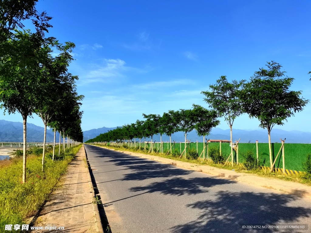 蓝天下的乡村道路风景