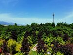郁郁葱葱的校园风景