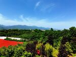 蓝天下美丽的校园风景