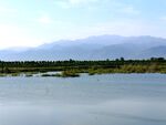 美丽的河道风景
