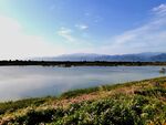蓝天下的乡村河道风景