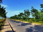 蓝天下的乡村道路风景
