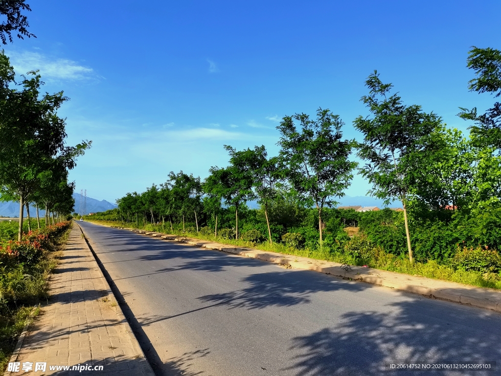 蓝天下的乡村道路风景