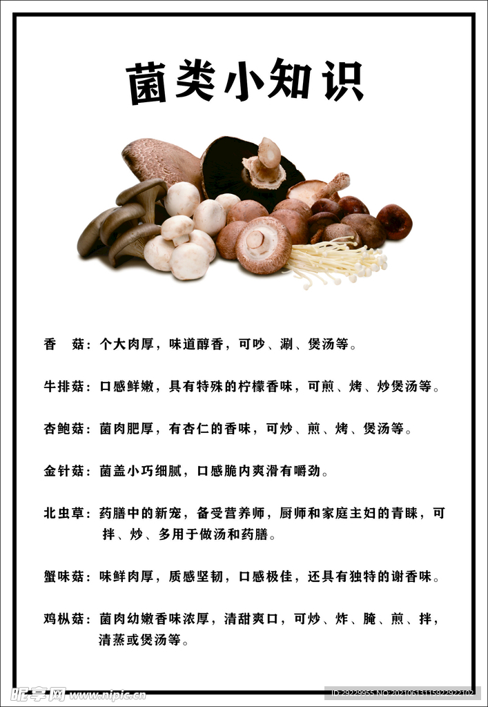 菌菇小知识