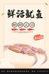 鲜活鱿鱼