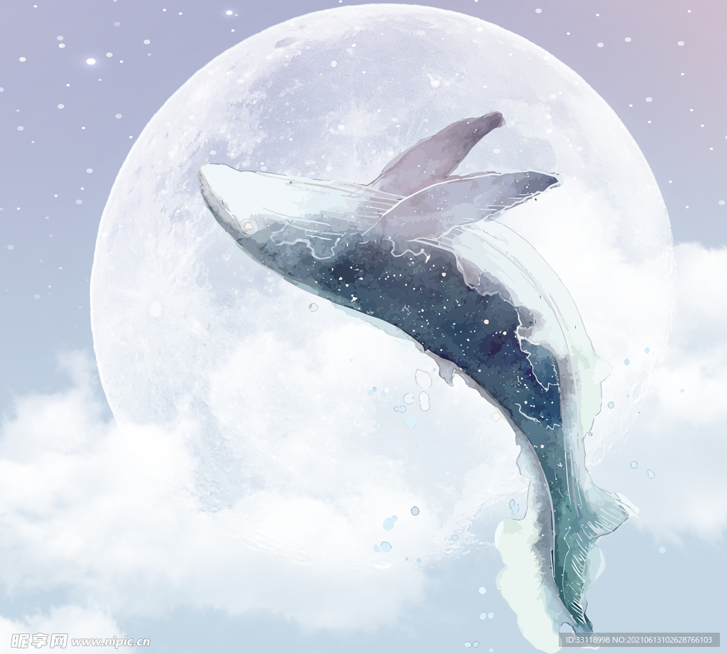 月亮鲸鱼