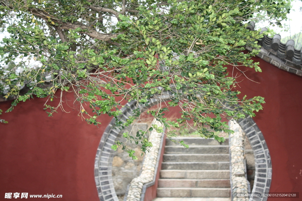 普照寺 庭院