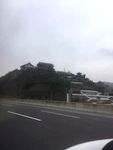旅游
