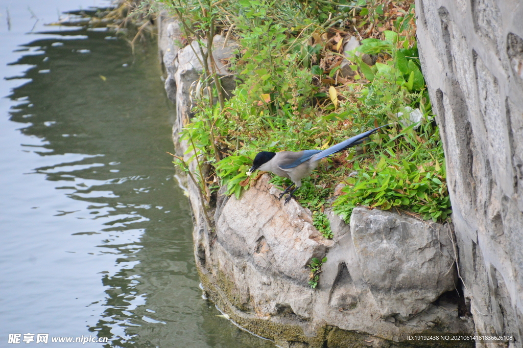 龙潭湖风景 